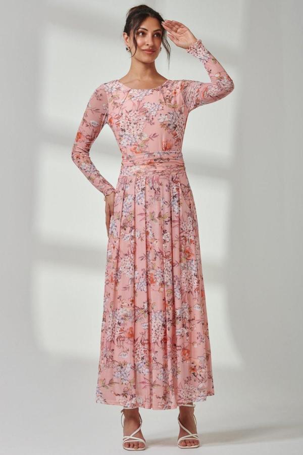 Floral Long Sleeve Mesh Maxi Dress