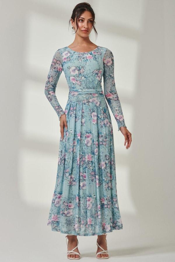 Floral Long Sleeve Mesh Maxi Dress