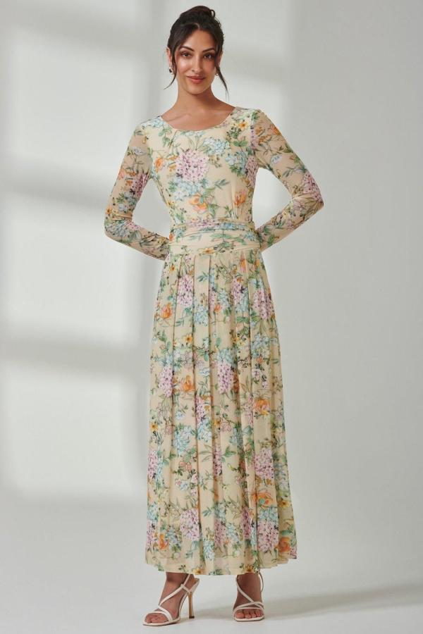 Floral Long Sleeve Mesh Maxi Dress