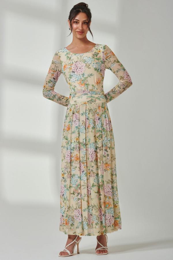 Floral Long Sleeve Mesh Maxi Dress