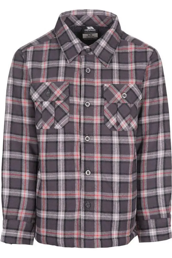 Average Long Sleeved Gingham Shirt