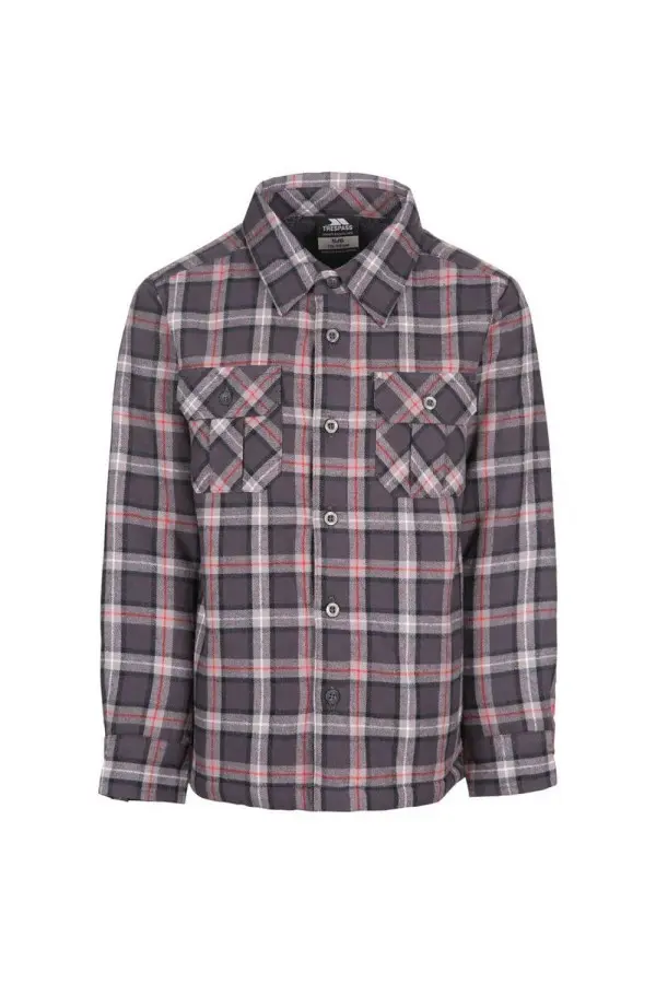 Average Long Sleeved Gingham Shirt