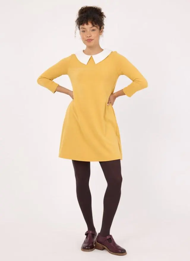 Joanie Clothing Suzy Contrast Collar Jersey Swing Dress 