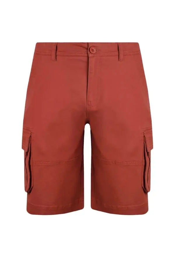 Weird Fish Rigney Cargo Shorts Paprika